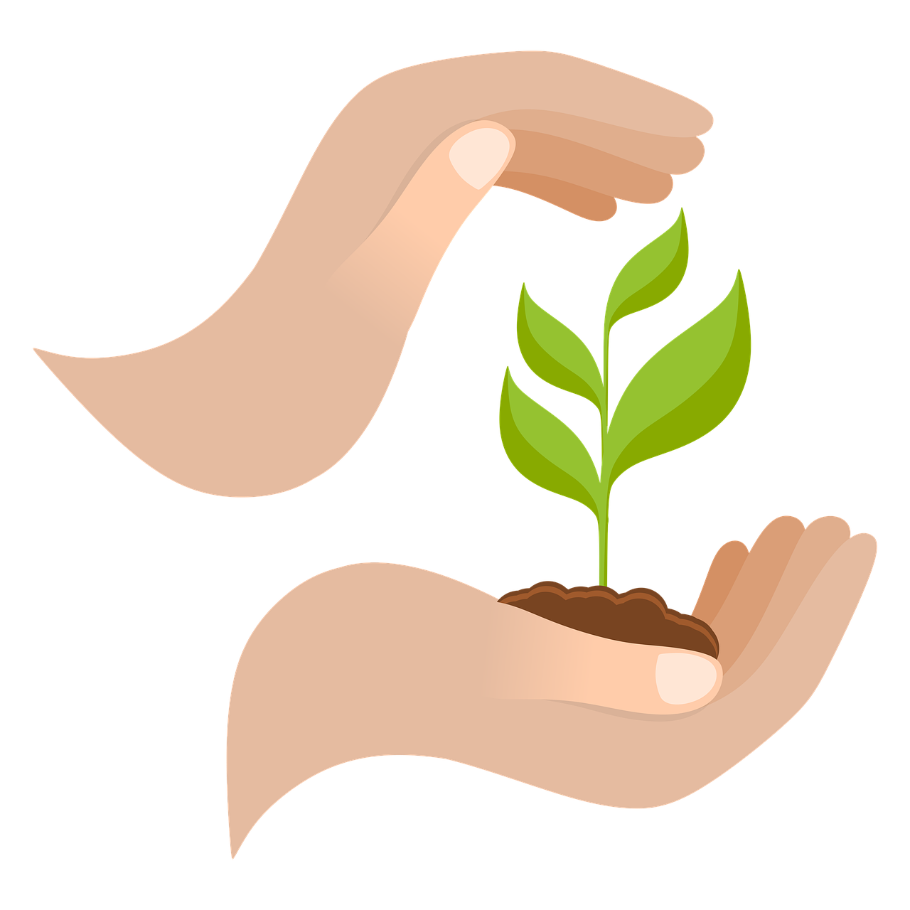 découvrez les clés d'une croissance durable qui allie performance économique, responsabilité environnementale et bien-être social. apprenez à intégrer des pratiques durables dans votre stratégie d'entreprise pour un avenir meilleur.