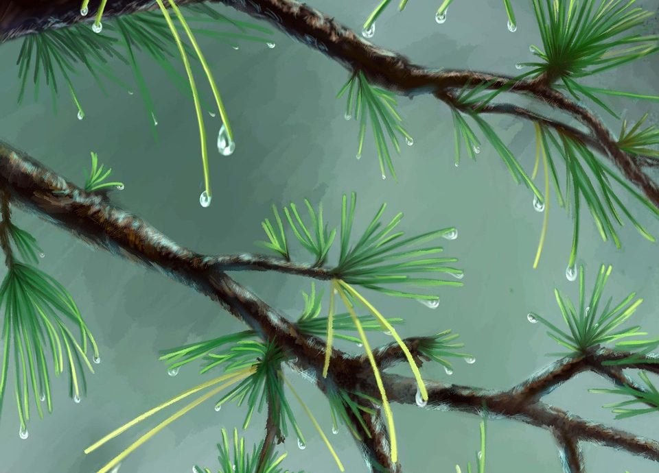 découvrez comment la création de valeur écologique contribue à un avenir durable. explorez les stratégies innovantes qui allient performance économique et respect de l'environnement.