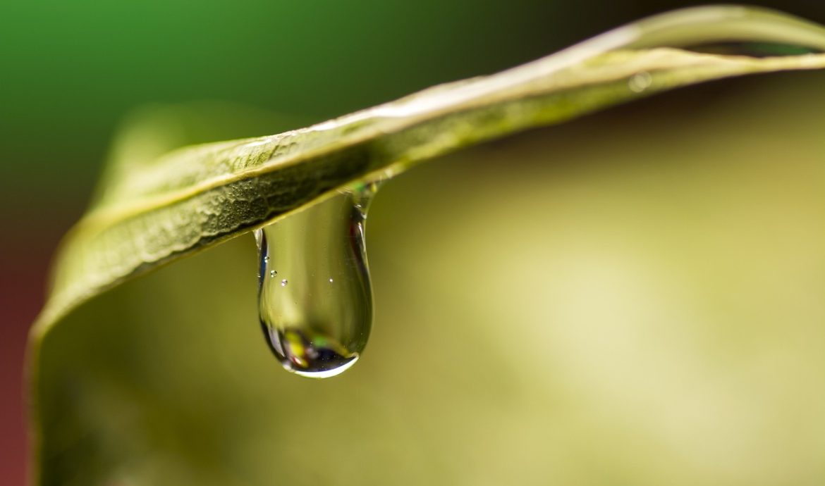 découvrez les dernières avancées en matière d'innovation écologique, alliant technologie et durabilité pour un avenir plus vert. explorez des solutions créatives qui protègent notre planète tout en favorisant le développement économique.