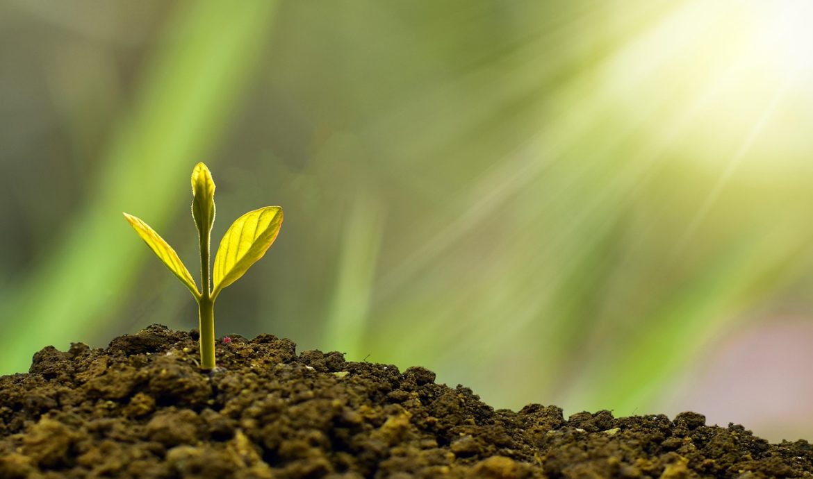 découvrez notre rapport sur la durabilité, qui présente nos engagements, réalisations et objectifs en matière de développement durable. informez-vous sur nos initiatives écologiques et notre responsabilité sociale pour un avenir meilleur.