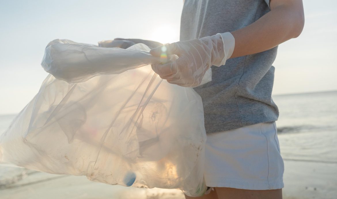 découvrez les enjeux de la durabilité et comment adopter des pratiques écoresponsables pour préserver notre planète tout en améliorant notre qualité de vie.