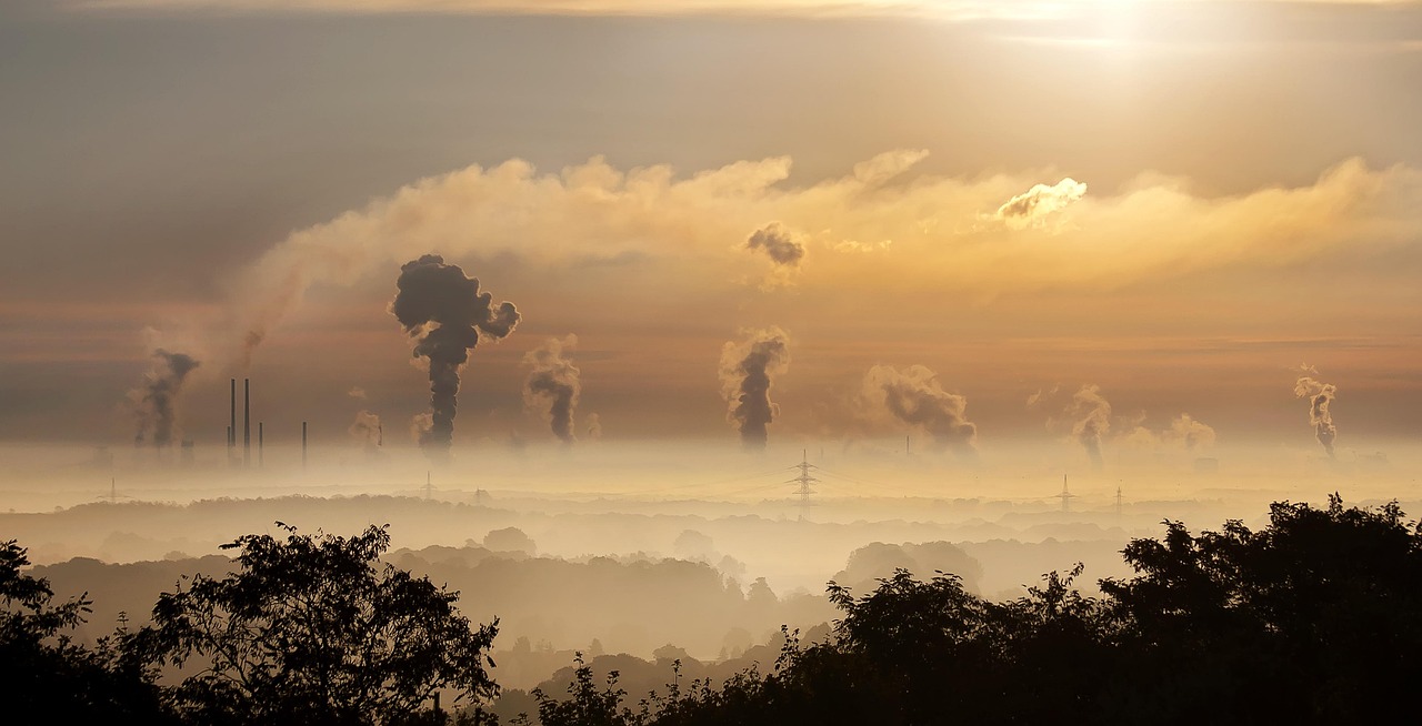 découvrez l'importance des réglementations environnementales pour la protection de notre planète. apprenez comment ces lois influencent les pratiques industrielles, promeuvent la durabilité et préservent la biodiversité.
