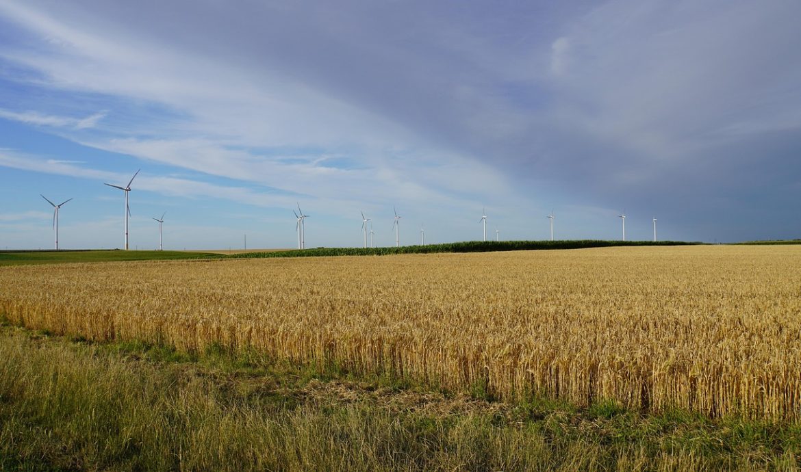 découvrez tout ce qu’il faut savoir sur le phénomène des heatwaves : causes, impacts sur la santé et astuces pour se protéger lors des épisodes de fortes chaleurs.