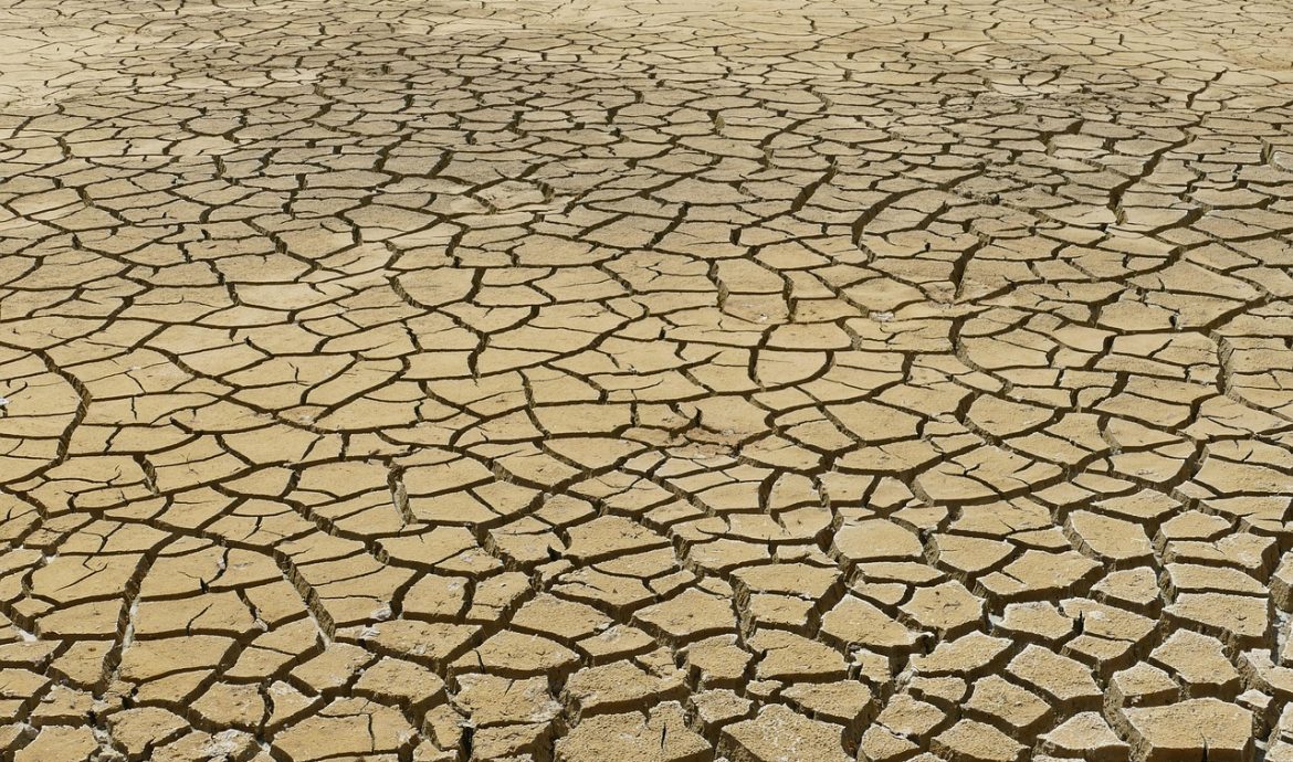 découvrez les causes, impacts et solutions du changement climatique. informez-vous sur les enjeux environnementaux et les actions pour protéger la planète contre le réchauffement global.