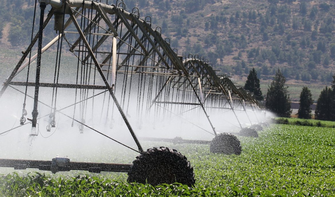 découvrez l'impact du changement climatique sur notre planète, ses causes, conséquences et les solutions pour protéger l'environnement et lutter contre le réchauffement global.