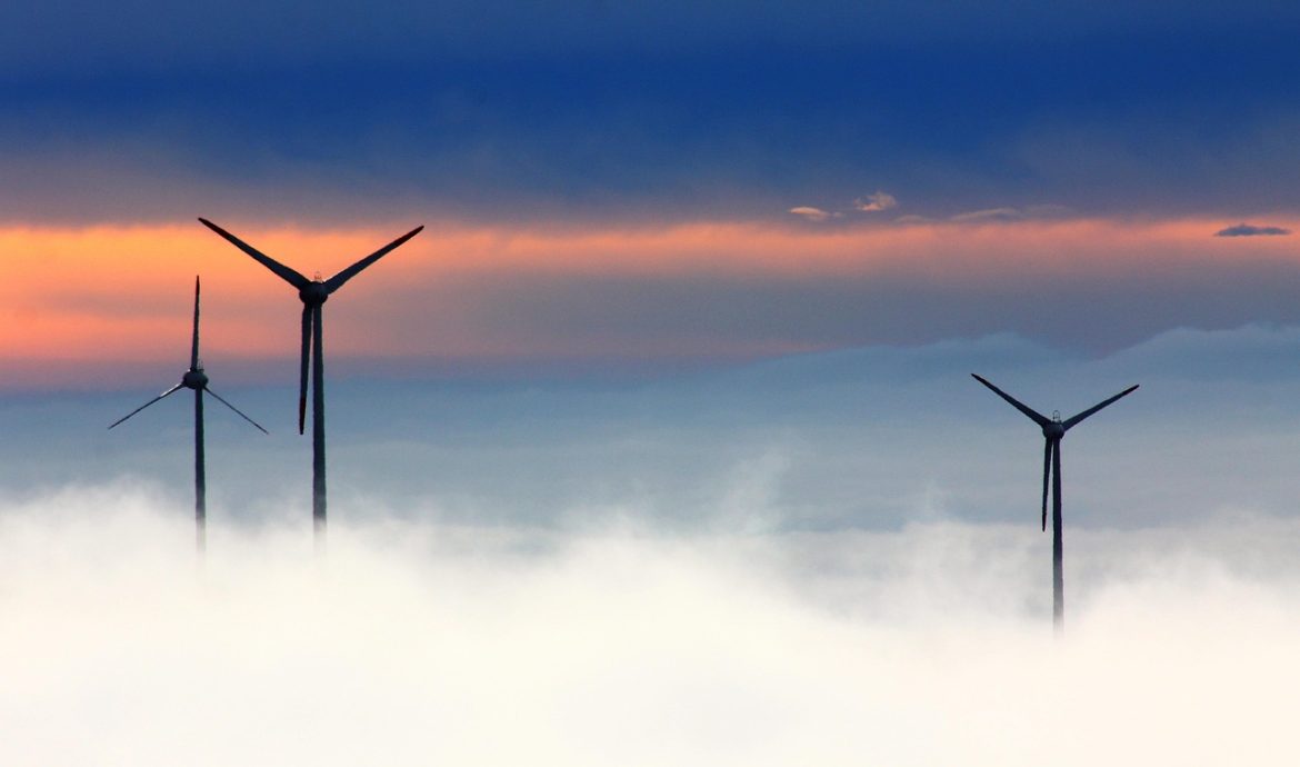 découvrez comment adopter un mode de vie durable avec des conseils pratiques pour réduire votre empreinte écologique, choisir des produits écoresponsables et vivre en harmonie avec la nature.