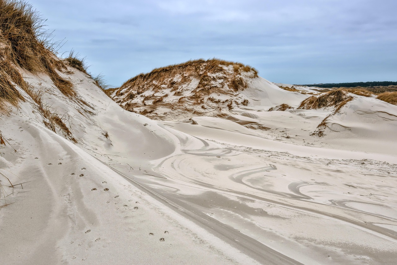 découvrez la beauté des paysages naturels à travers des panoramas époustouflants, des paysages montagnards majestueux aux plages sereines. éveillez votre amour pour la nature et plongez dans des expériences authentiques au cœur des merveilles de notre planète.