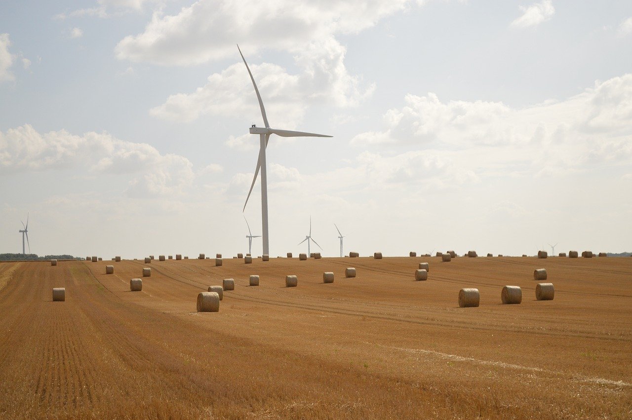 découvrez le concept du développement durable grâce à des conseils, des astuces et des solutions pour adopter un mode de vie plus responsable et respectueux de l'environnement.