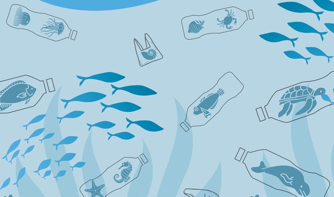 découvrez ce qu'est l'empreinte environnementale, son importance, les facteurs qui l'influencent et des conseils pratiques pour la réduire au quotidien.