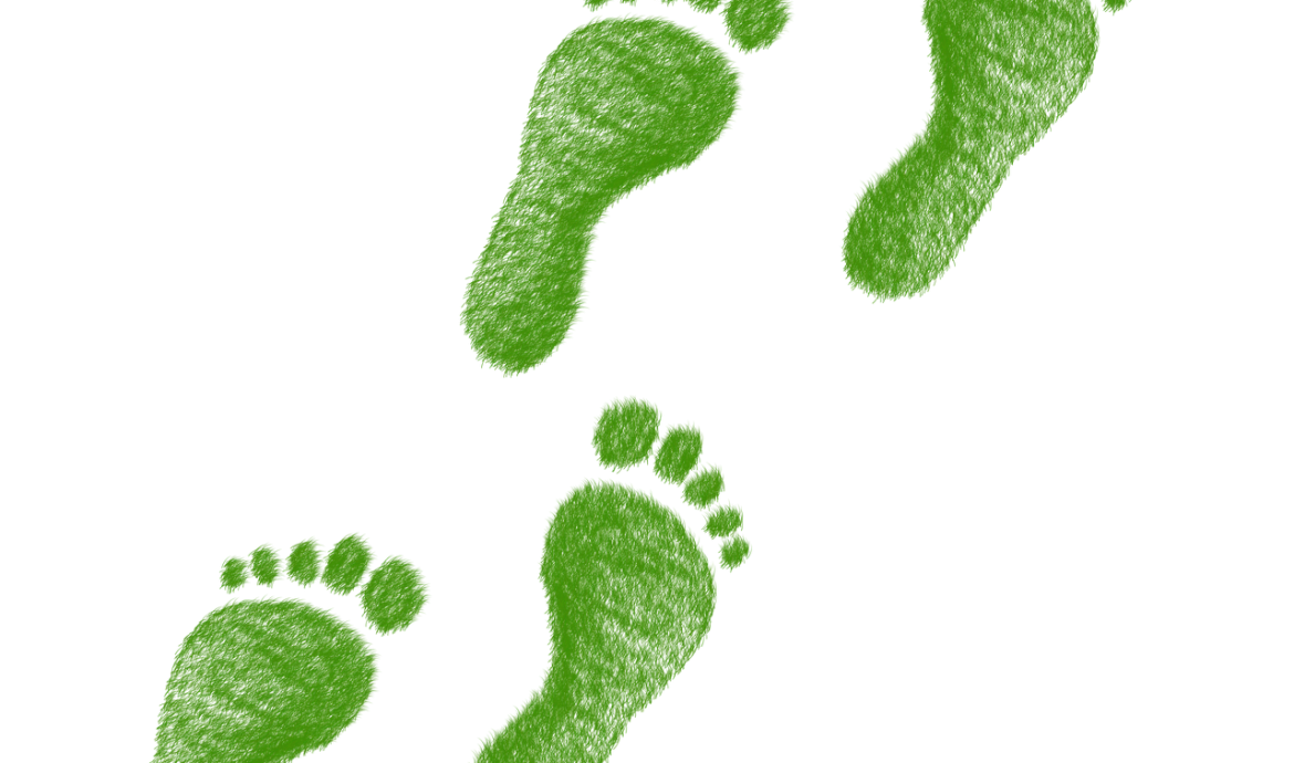 découvrez ce qu'est l'empreinte écologique, comment elle se calcule et pourquoi il est important de la réduire pour préserver l'environnement et assurer un avenir durable.