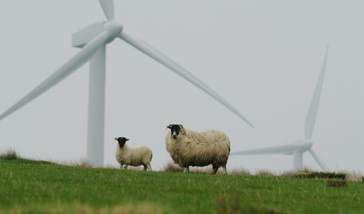 découvrez ce qu'est la sustainability et comment adopter des pratiques durables pour préserver l'environnement tout en améliorant votre qualité de vie et celle des générations futures.