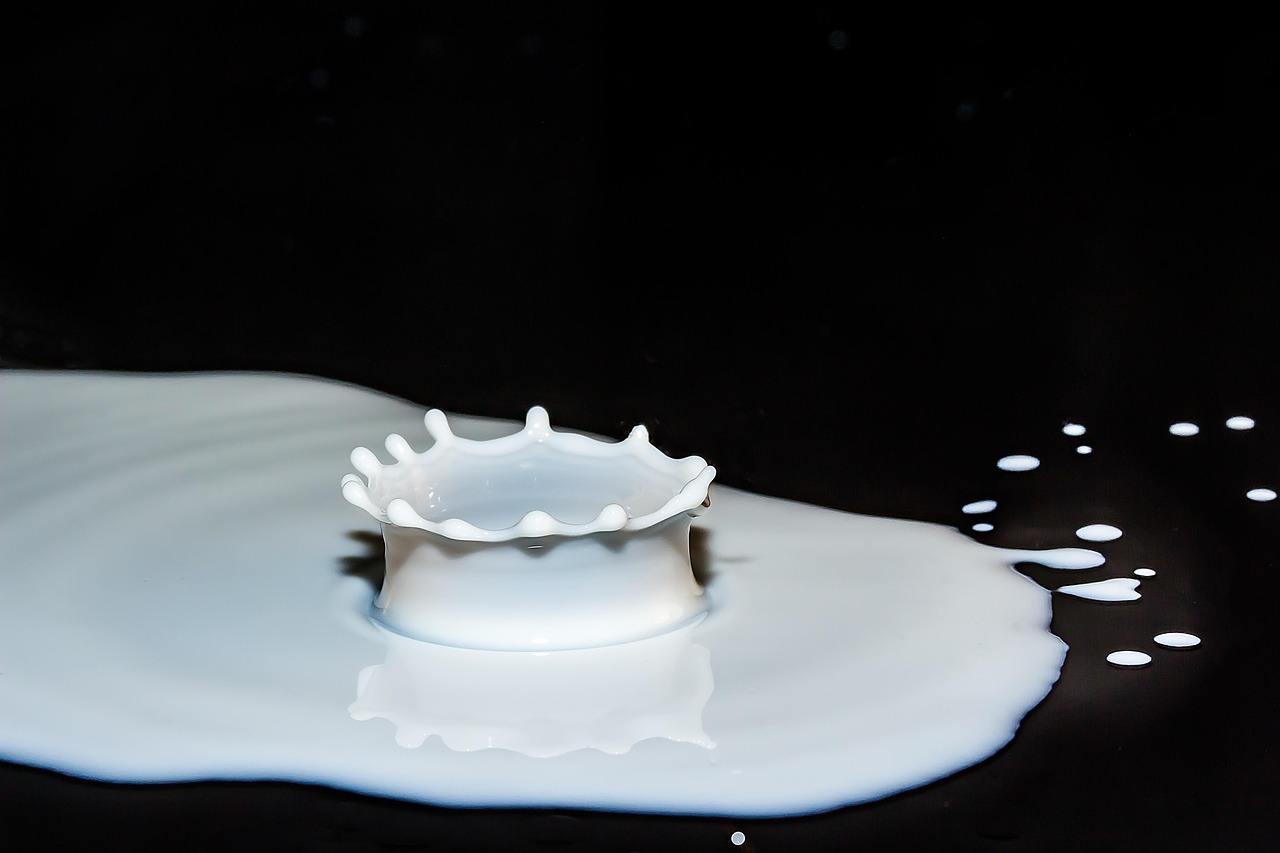découvrez l'impact du label carbone : évaluez l’empreinte écologique de vos produits et services pour adopter des choix plus responsables et durables.