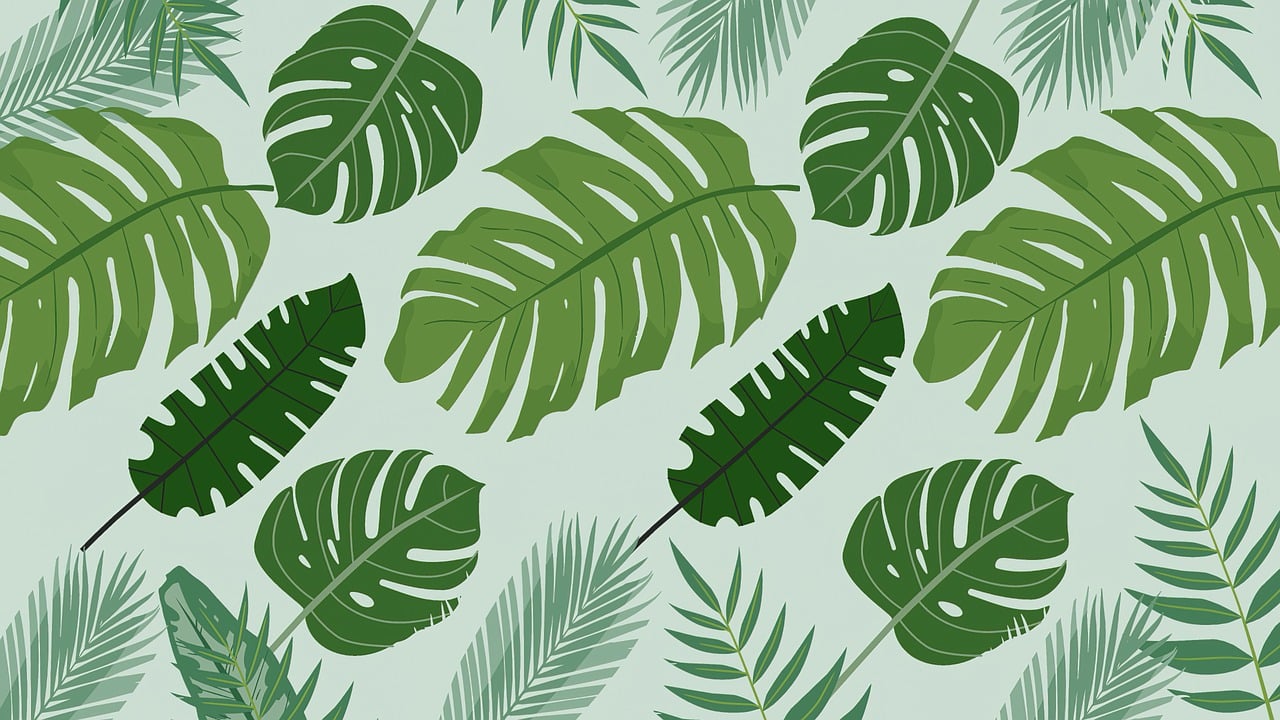 découvrez le green bonus : un avantage écologique pour encourager les initiatives durables, économiser de l'énergie et soutenir la transition vers un mode de vie plus respectueux de l'environnement.