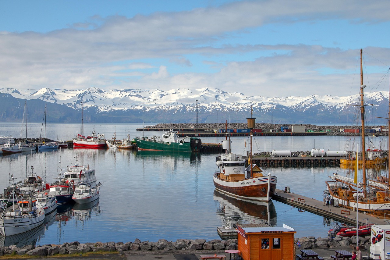 découvrez les initiatives nordiques pour lutter contre le changement climatique : innovations, partenariats locaux et solutions durables au service de l'environnement.
