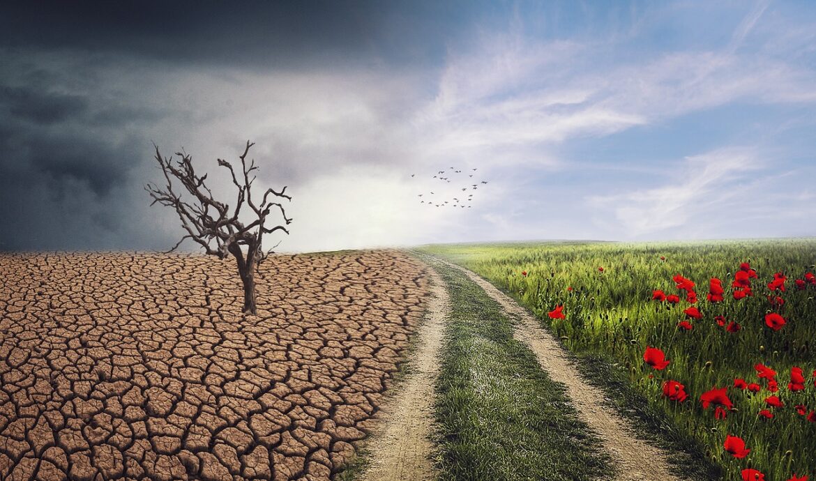 découvrez comment le changement climatique impacte notre planète, ses causes, conséquences et les solutions pour préserver l'environnement. informez-vous et agissez dès maintenant pour un avenir durable.