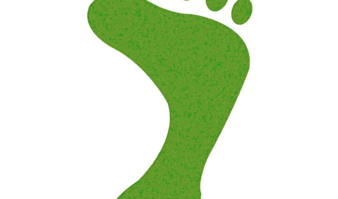 découvrez ce qu'est l'empreinte carbone, comment la mesurer et des conseils pratiques pour la réduire afin de protéger l'environnement.