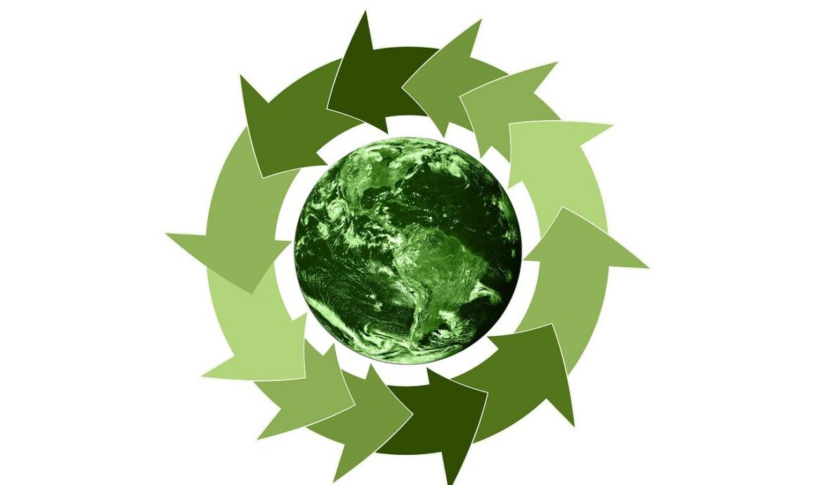 découvrez l'importance de la durabilité environnementale, ses enjeux et les actions à adopter pour préserver la planète. informez-vous sur les solutions et conseils pour un avenir plus vert et responsable.