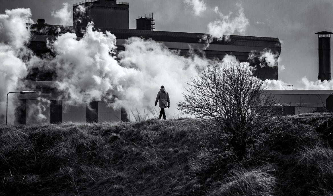 découvrez l'impact des émissions de carbone des forêts sur le changement climatique et les solutions pour les réduire efficacement.