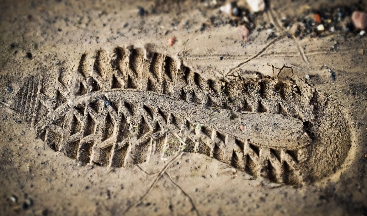 découvrez ce qu'est l'empreinte carbone, comment la mesurer et des conseils pour la réduire afin de protéger notre planète.