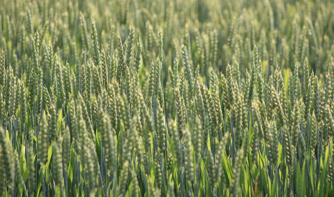 découvrez la mode durable : des vêtements éthiques et écologiques conçus pour respecter la planète tout en restant tendance. adoptez un style responsable et éco-responsable.