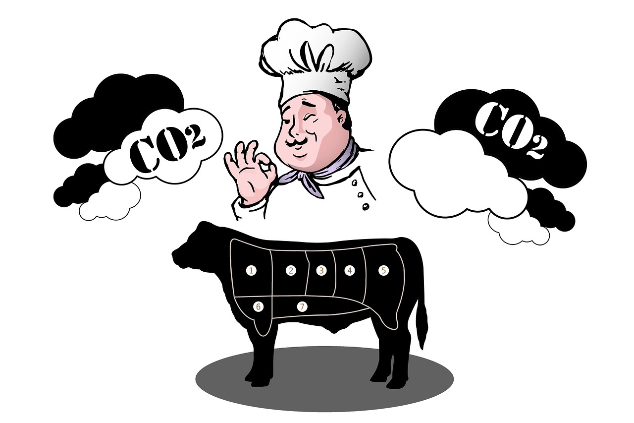 découvrez ce qu'est l'empreinte carbone, son impact sur l'environnement et comment la réduire pour un mode de vie plus durable.