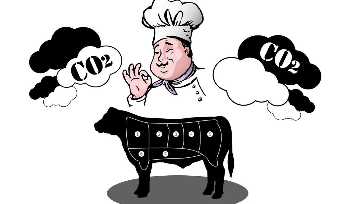 découvrez ce qu'est l'empreinte carbone, son impact sur l'environnement et comment la réduire pour un avenir plus durable.