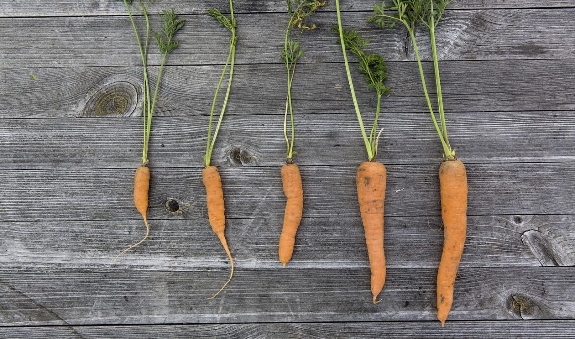 découvrez les pratiques de consommation durable pour réduire votre impact environnemental et promouvoir un mode de vie responsable.