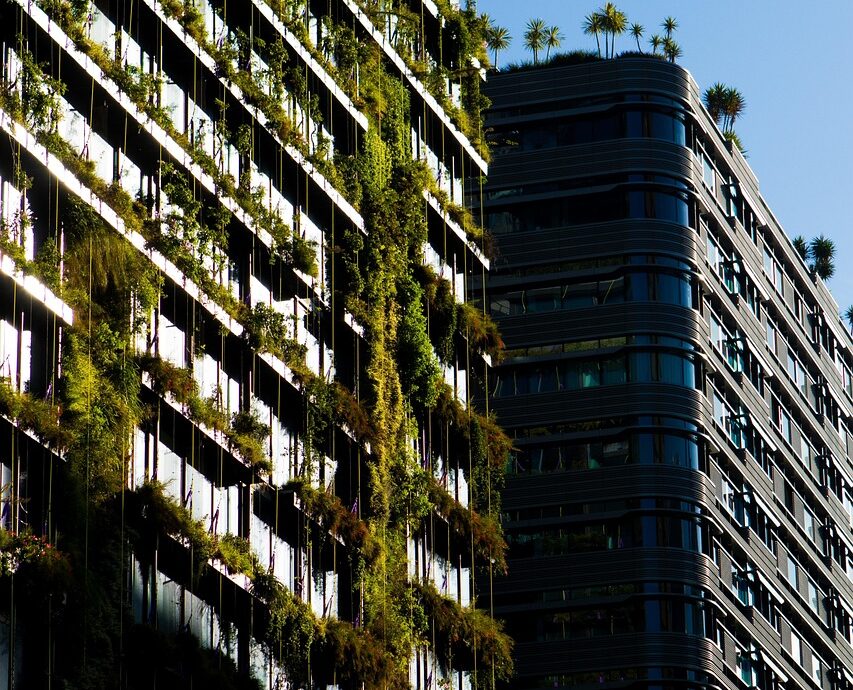 découvrez l'eco-design, une approche innovante qui allie esthétique et respect de l'environnement pour créer des produits durables et responsables.