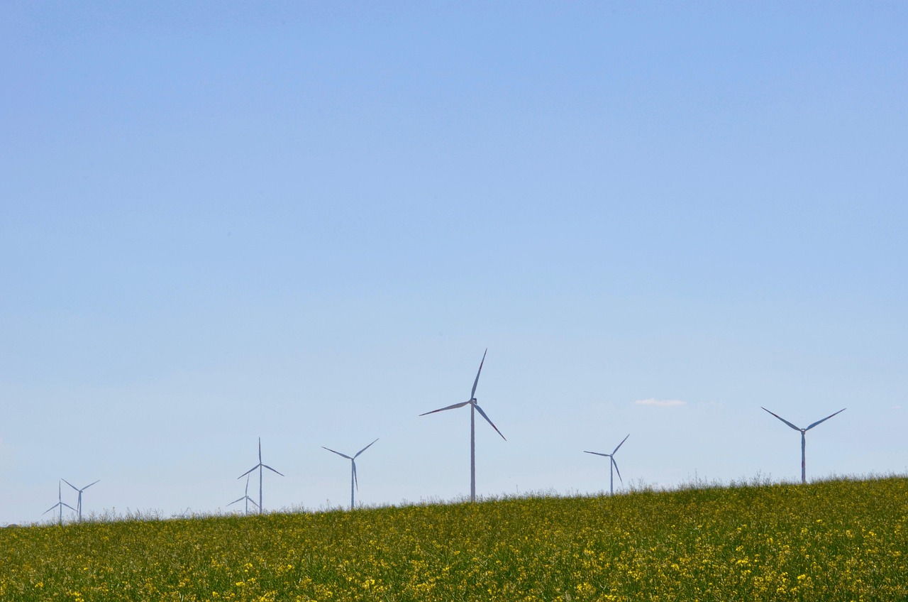 découvrez les enjeux et solutions de la transition écologique pour un avenir durable et respectueux de l'environnement.