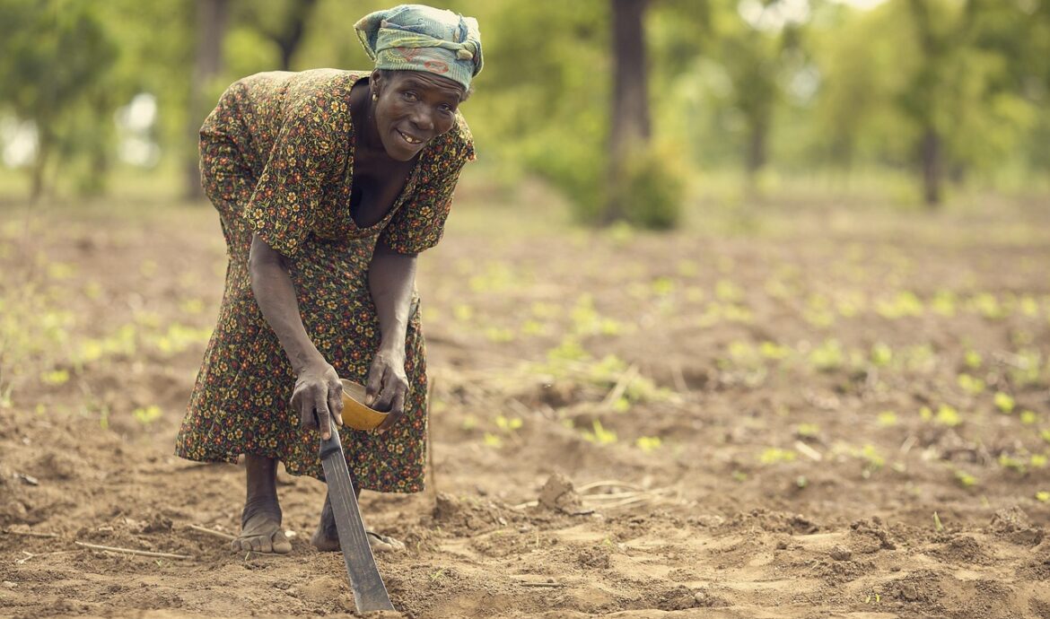 découvrez le rôle essentiel du farmer, maître de la terre et garant de la production agricole, assurant la croissance des cultures et l’élevage pour nourrir le monde.