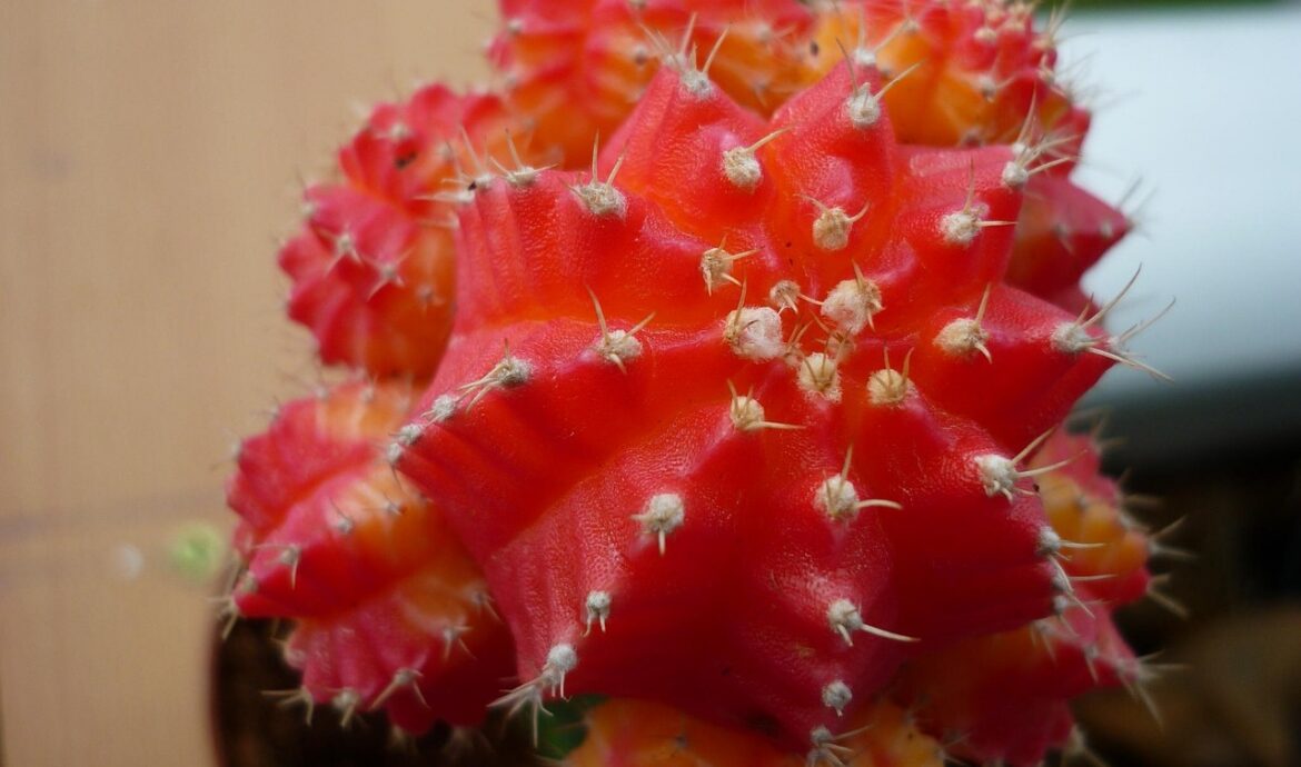 refinal plant : solutions innovantes pour la purification de l'eau et le traitement des eaux usées, alliant performance et respect de l'environnement.