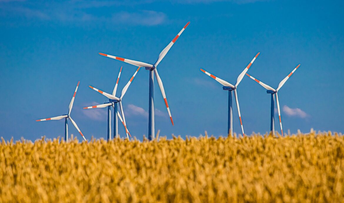 découvrez les pratiques d'agriculture durable pour préserver l'environnement, optimiser les ressources naturelles et promouvoir une production alimentaire responsable et éthique.