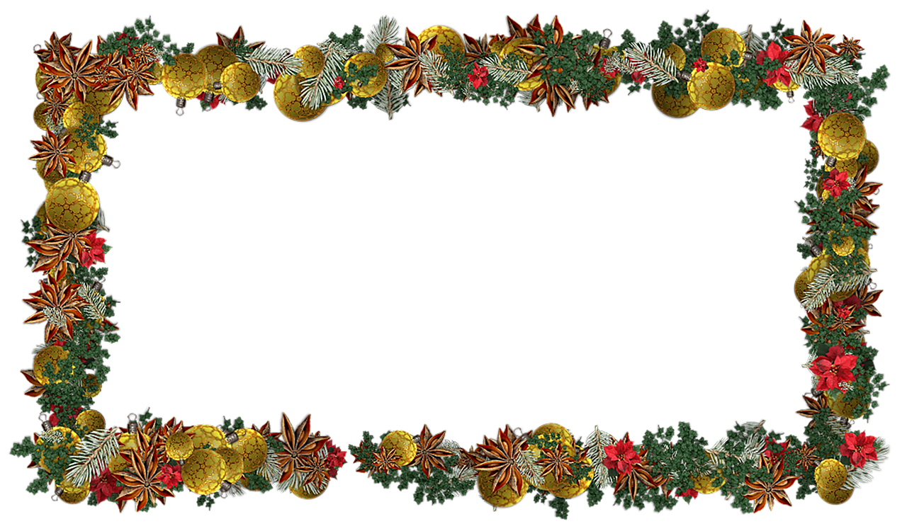 découvrez les meilleures pratiques de gestion forestière pour préserver la biodiversité, optimiser l'exploitation durable des ressources et protéger les écosystèmes naturels.