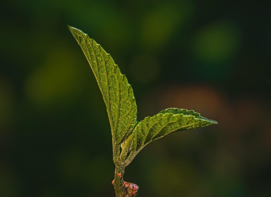 découvrez notre ciment écologique conçu pour réduire l'impact environnemental tout en offrant une performance optimale et une durabilité exceptionnelle.