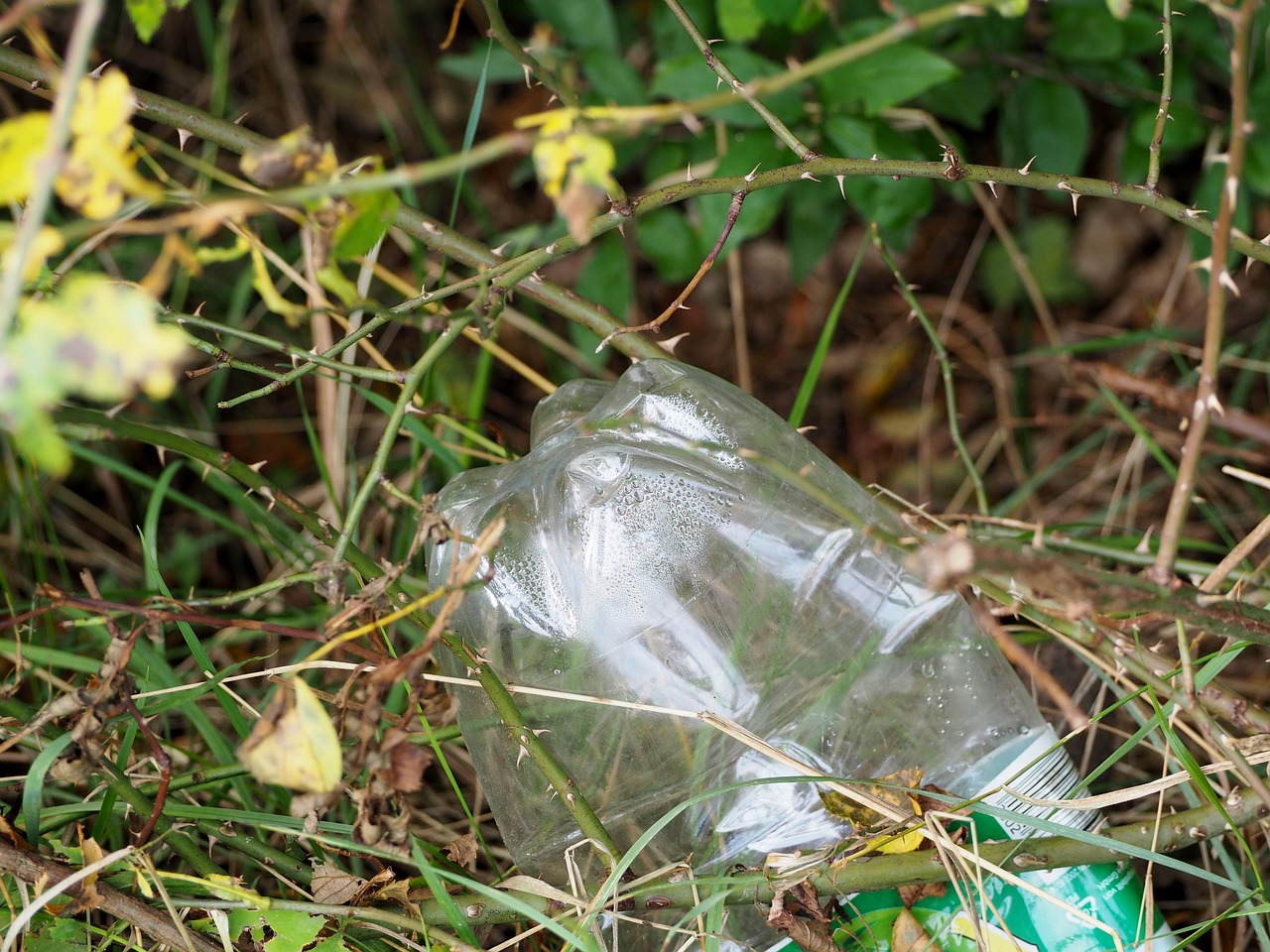 découvrez les causes, les impacts et les solutions pour lutter contre la pollution plastique afin de préserver notre environnement et notre santé.