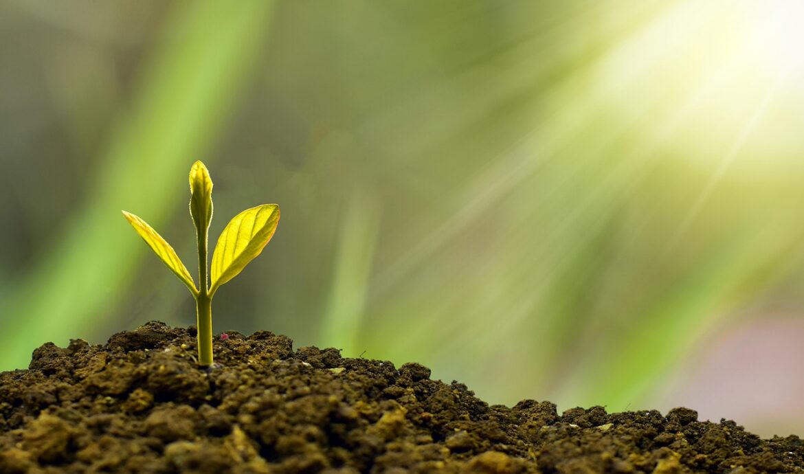 découvrez nos initiatives et conseils pour adopter un mode de vie durable, préserver les ressources naturelles et contribuer à un avenir respectueux de l'environnement.